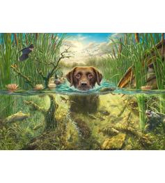 Puzzle Schmidt Um Labrador Chocolate Dá Um Mergulho Refrescante