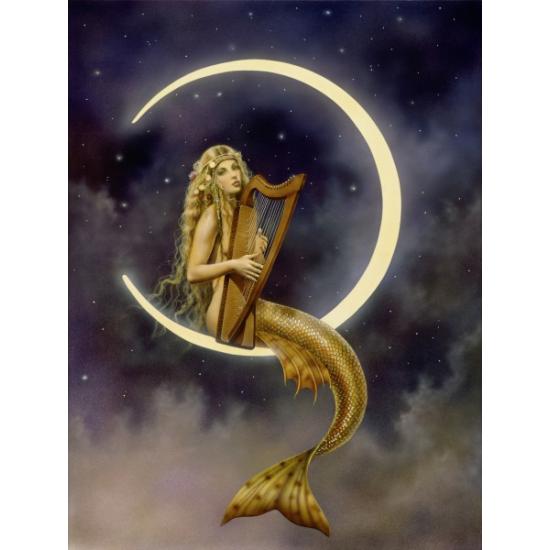 Schmidt Puzzle Melodia Noturna, Serenata 1000 Peças