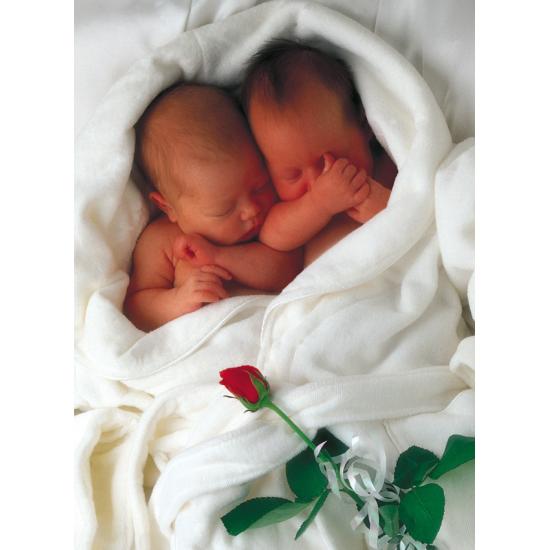 Schmidt Milly e Natalie Puzzle de 1000 peças