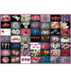 Schmidt Puzzle Mix de Flores 2000 Peças