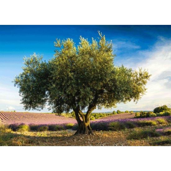 Schmidt Oliveira em Provence Puzzle 1000 Peças