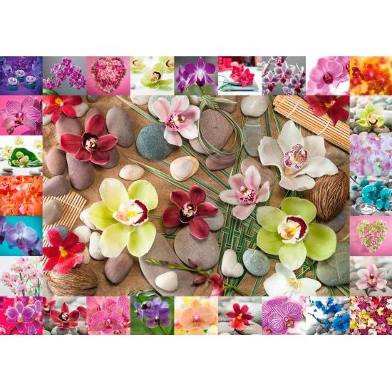 Schmidt Puzzle Orquídeas 1000 Peças