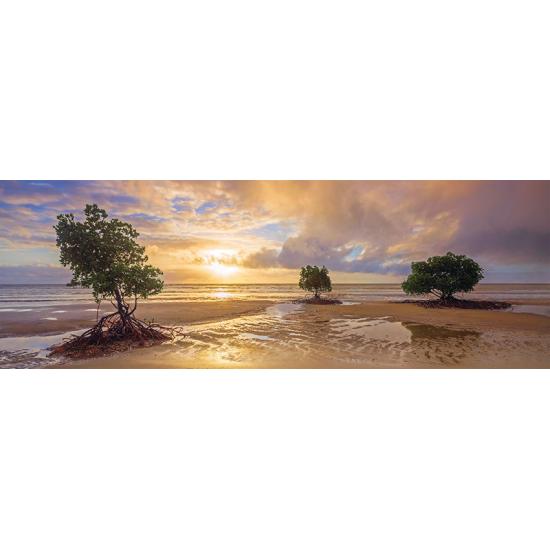 Puzzle Schmidt Queensland National Park, Austrália de 1000