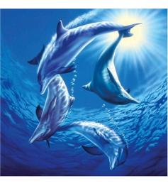 Schmidt Puzzle Família Dolphin 1000 Peças