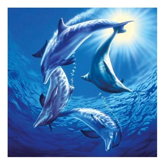 Puzzle Schmidt Família Dolphin de 1000 Peças