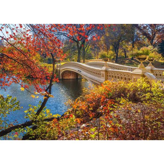 Schmidt Puzzle Ponte Central Park, Nova York 1000 Peça