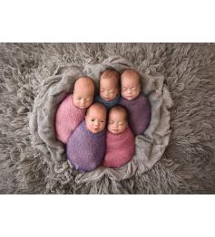 Puzzle Schmidt Quintuplets 1000 Peças