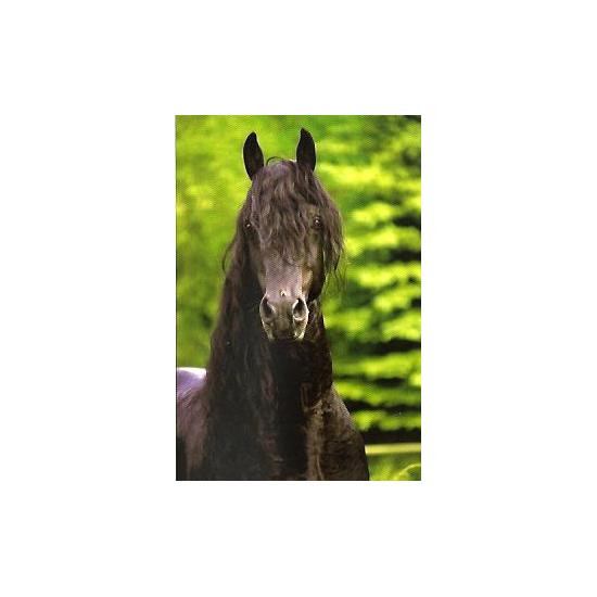 Schmidt Puzzle Retrato de um Cavalo 500 Peças Schmidt Puzzle Retrato de um Cavalo 500 Peças