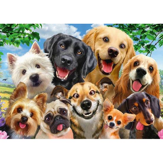 Puzzle Schmidt Selfie de Cachorros de 500 peças