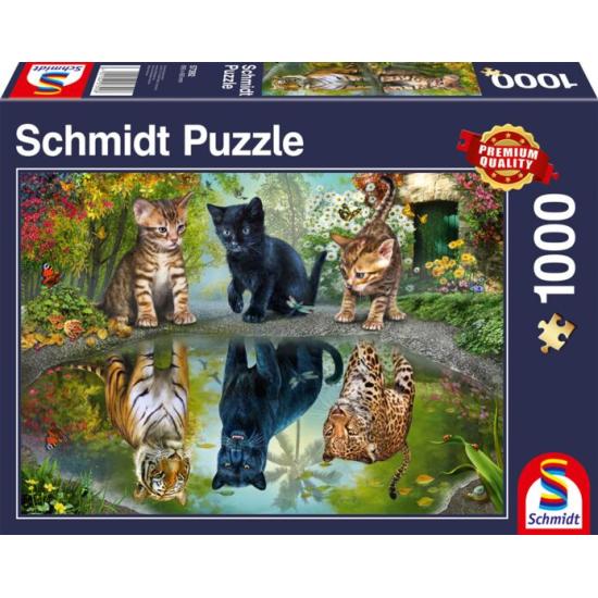 Puzzle Schmidt Sonha em Grande de 1000 Peças