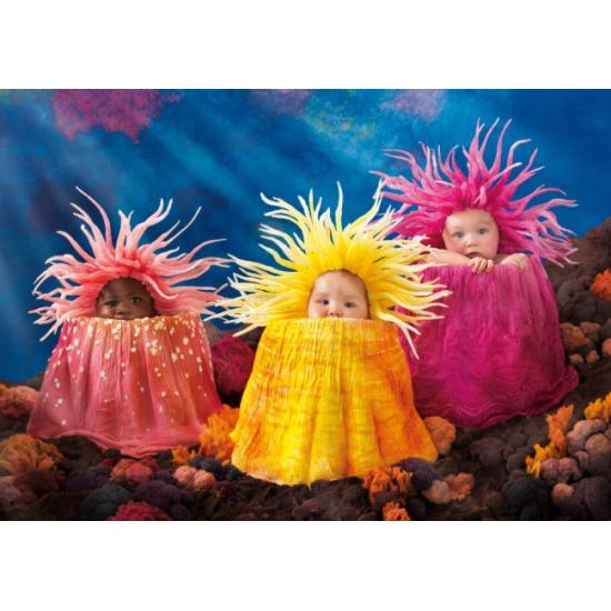 Schmidt Puzzle Tesouros do Mar 1000 Peças