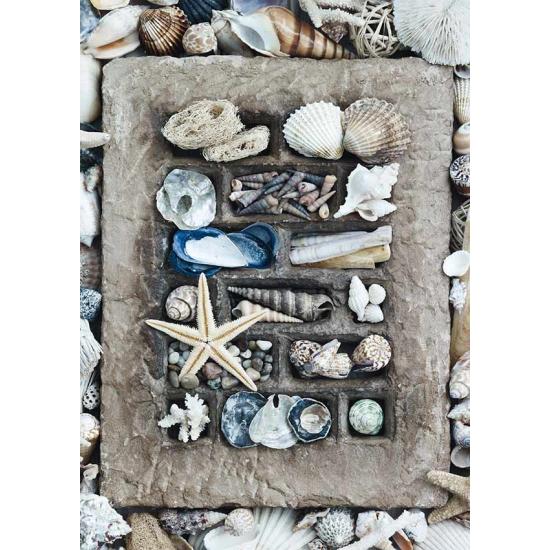 Schmidt Puzzle Sea Shells 500 Peças
