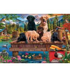 Puzzle Schmidt Uma Família De Cães No Lago 1000 Peças