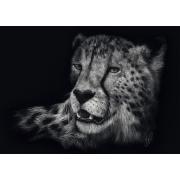 Puzzle Schmidt Velocidade, Cheetah: Elegância 1000 Peças