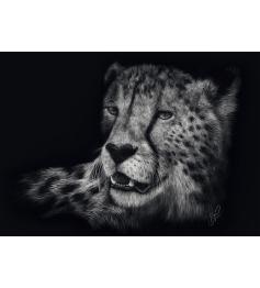 Puzzle Schmidt Velocidade, Cheetah: Elegância 1000 Peças