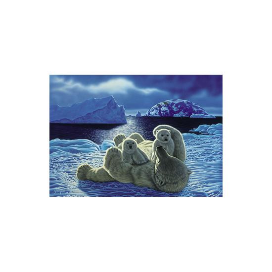 Puzzle do futuro SpielSpass para duas peças de 1.000 peça