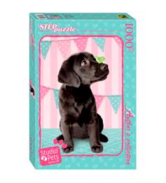 Puzzle Step Puzzle Cachorro Preto de 1000 Peças