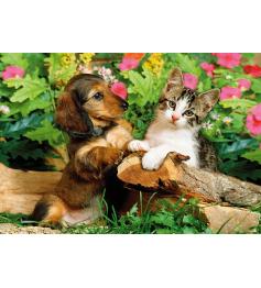 Puzzle Step Puzzle Gatinho e Cachorrinho de 160 Peças