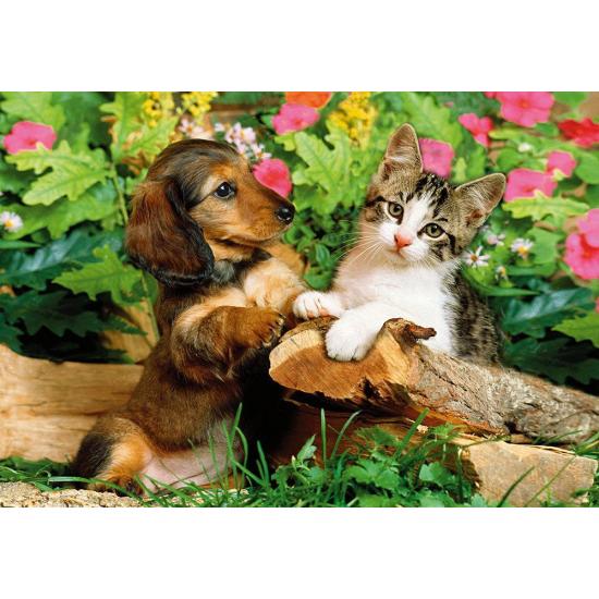 Puzzle Step Puzzle Gatinho e Cachorrinho de 160 Peças