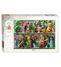 Puzzle Step Puzzle Gatinhos Na Prateleira de 1500 Peças