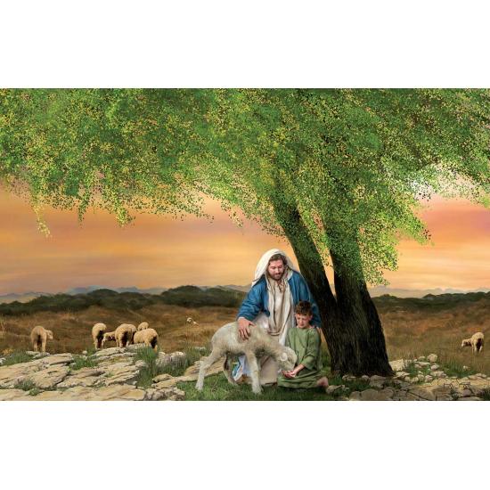 Puzzle SunsOut Alimente Meus Cordeiros de 1000 Peças Puzzle SunsOut Alimente Meus Cordeiros de 1000 Peças