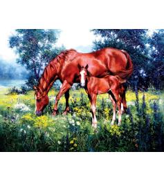 Puzzle SunsOut Cavalos e Margaridas de 1000 peças