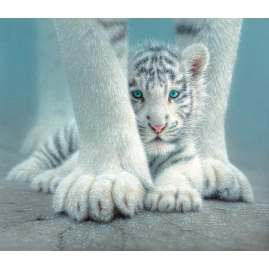 Puzzle SunsOut Protected Tiger Cub 550 Peças