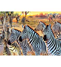 Puzzle SunsOut Zebras E Amigos XXL de 500 Peças
