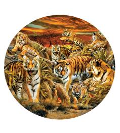 Puzzle SunsOut Circular Manada de Tigres XXL 500 Pçs