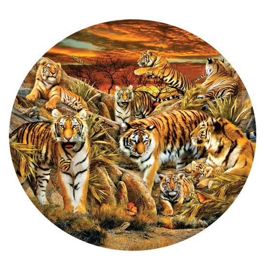 Puzzle SunsOut Circular Manada de Tigres XXL 500 Pçs Puzzle SunsOut Circular Manada de Tigres XXL 500 Pçs