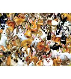 Puzzle SunsOut Grupo de Coelhos de 1000 Peças