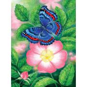 Puzzle SunsOut The Blue Butterfly 1000 Pcs