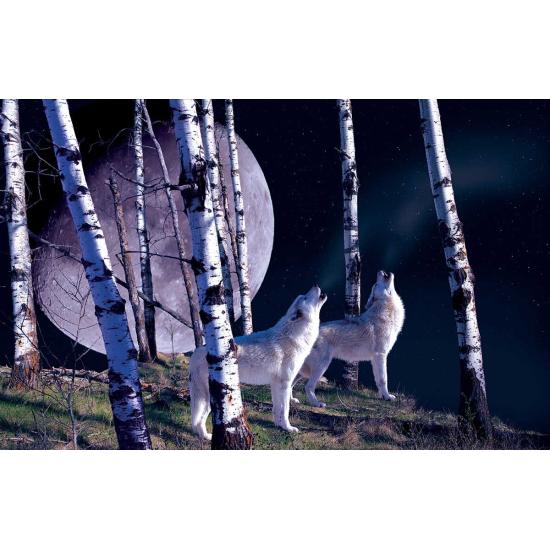 Puzzle de 1000 peças SunsOut Night Call