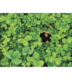 Puzzle SunsOut The Shamrocks Challenge 1000 Peças