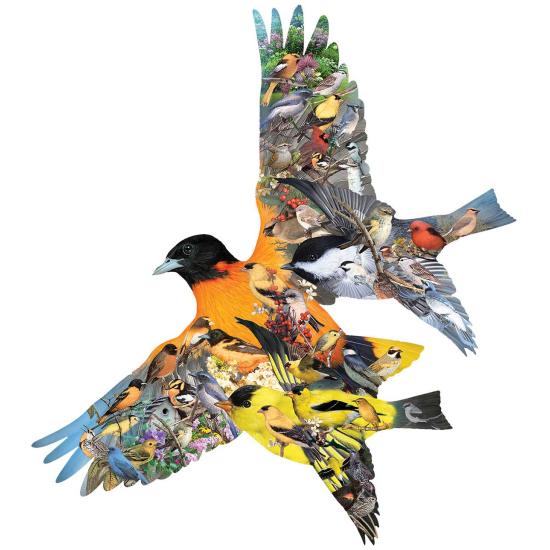 Puzzle SunsOut Pássaros Orioles de1000 peças