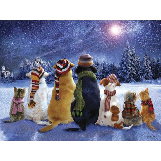 Puzzle SunsOut Pergunte à Estrela Cadente 1000 Peças