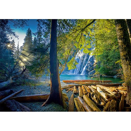 Puzzle Trefl Floresta Misteriosa de 1000 Peças