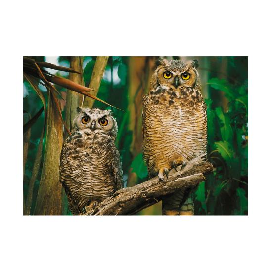 Puzzle Trefl Corujas  de 1000 peças