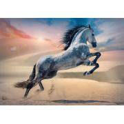 Puzzle Trefl Cavalo Majestoso de 1000 Peças