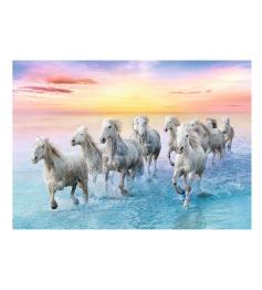 Puzzle Trefl Cavalos Brancos Galopantes 500 Peças