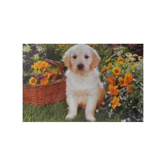 Puzzle Trefl Filhote de Labrador no Jardim de 500 Peças
