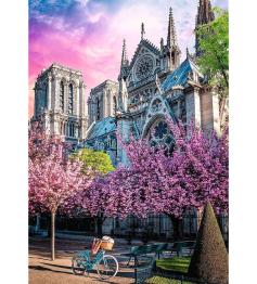 Puzzle Trefl Catedral de Notre-Dame de Paris 1000 Peça