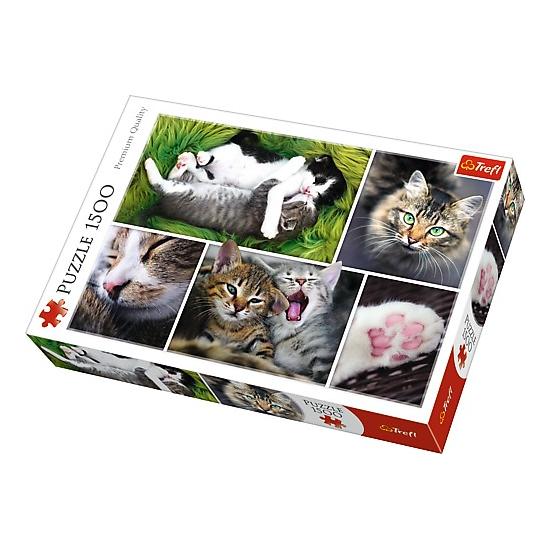 Puzzle Trefl Coisas de Gatos de 1500 Peças
