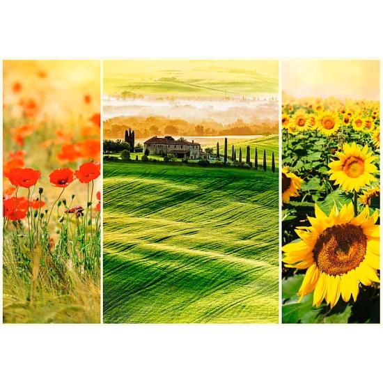 Puzzle Trefl O Sol da Toscana 1000 Peças