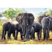 Puzzle Trefl  Elefantes Africanos de 1000 Peças