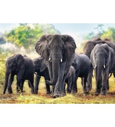 Puzzle Trefl  Elefantes Africanos de 1000 Peças