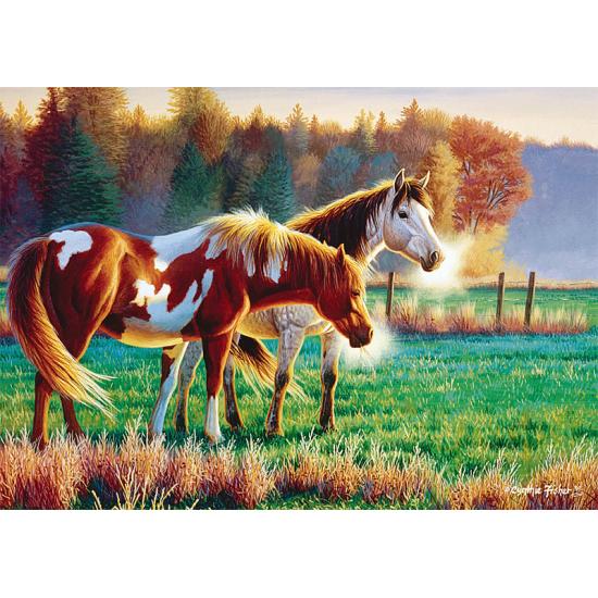 Puzzle Trefl Manhã Fria no Prado de 1000 Peças