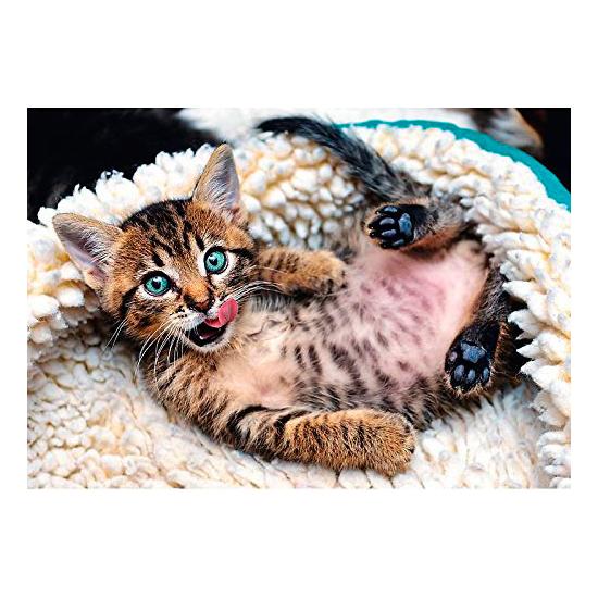 Puzzle Trefl Gatinho Alegre 1000 Peças Puzzle Trefl Gatinho Alegre 1000 Peças