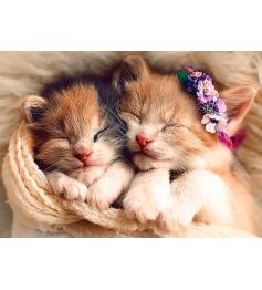 Puzzle Trefl Gatinhos Dormindo 500 Peças