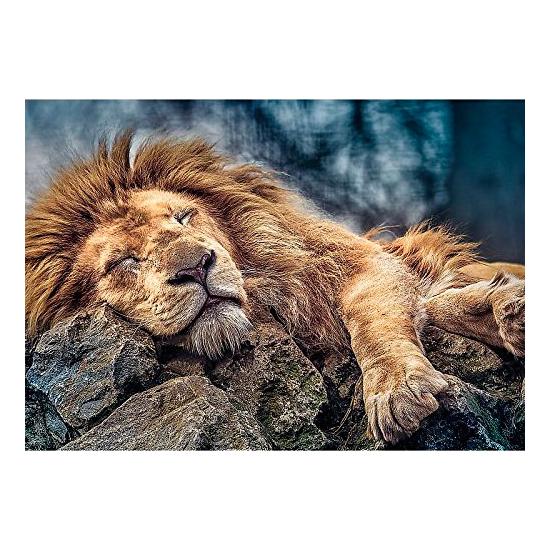 Puzzle Trefl Leão Adormecido 1000 Peças